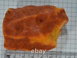 66.6 g Natural Baltic Sea Amber Raw Stone EggYolk antique butterscotch tiger