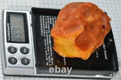 66.6 g Natural Baltic Sea Amber Raw Stone EggYolk antique butterscotch tiger
