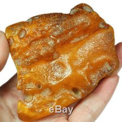 67.4g 100% Natural Baltic Antique intact Butterscotch Egg Yolk Amber UWRL15