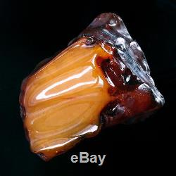 67.89g Natural Polished Old Baltic Butterscotch Amber Antique Egg Yolk YRL10