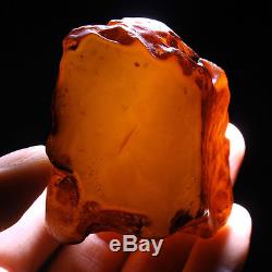 67.89g Natural Polished Old Baltic Butterscotch Amber Antique Egg Yolk YRL10