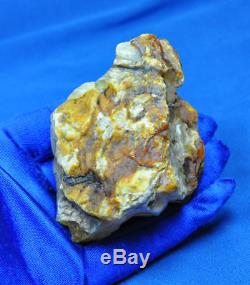 68.07gr. Huge Big Real Natural Genuine Antique White Bone Baltic Amber Bernstein
