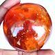 699.5 Ct Natural Honey Baltic Amber Inside small insect Untreated Polished Gem