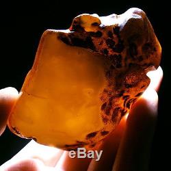70.1g Natural Polished Old Baltic Butterscotch Amber Antique Egg Yolk YRL5