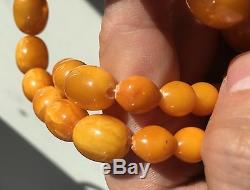 71.3 Gram Natural Baltic Amber Necklace, TOP QUALITY, with GCS Certificate