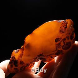 71.8g 100% Natural Polished Baltic Butterscotch Amber Antique Egg Yolk YRL41