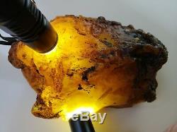 716 Gr 100% AMBER NATURAL BALTIC RAW GENUINE Amber STONE Pendant Multicolor Y62