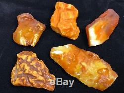 73gr Natural Royal Baltic Amber Stones