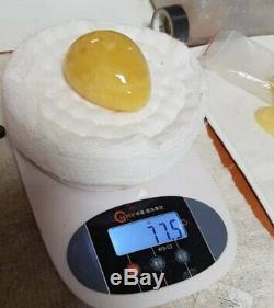 77gr Natural Baltic Amber Ball Huge Egg Yolk Sphere 65mm Rare Bead Butterscotch