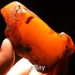 84.02g Natural Polished Old Baltic Butterscotch Amber Antique Egg Yolk YRL2
