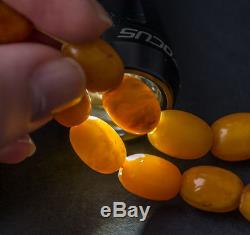 84.25g Natural Antique Butterscotch Egg Yolk Baltic Amber Necklace Beads