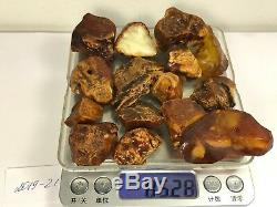 85gr Natural Royal quality Baltic Amber Stones