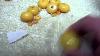 88 Gram Baltic Amber Beads Butterscotch Egg Yolk Testing Video