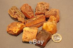 9 Stück (15-20g) Echter Roh Bernstein Rar Amber Stones Natural Baltic 140 Gramm