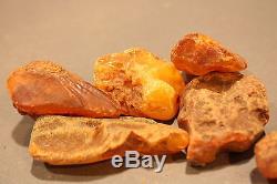 9 Stück (15-20g) Echter Roh Bernstein Rar Amber Stones Natural Baltic 140 Gramm