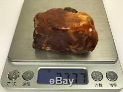 92gr Natural Royal quality Baltic Amber Stones