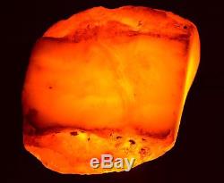 95.6 Gram Natural Baltic Antique Raw Amber Royal White Egg Yolk BEESWAX Rare