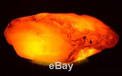 95.6 Gram Natural Baltic Antique Raw Amber Royal White Egg Yolk BEESWAX Rare
