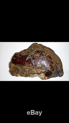 988.8 Gr. SUPER NICE & RARE Natural Baltic Amber Stone BEST DEAL