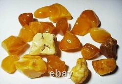 AMBER / raw baltic stones bernstein natural genuine Amber 17 pieces N18