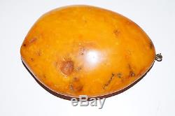 Antique Baltic Amber Natural Pendant Butterscotch Egg Yolk 49 Grams