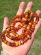 ANTIQUE BUTTERSCOTCH EGG YOLK NATURAL BALTIC AMBER BEAD NECKLACE 50gr See Video