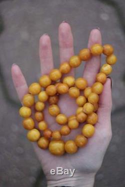 ANTIQUE Natural Butterscotch Egg Yolk Baltic Amber Necklace Beads 64 gr