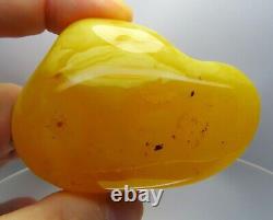 Amazing 59.50 grams polished Yellow Egg Yolk Genuine BALTIC AMBER stone