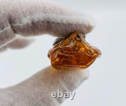 Amber ANTIQUE stone natural Raw amber stone Genuine Baltic Amber stone piece