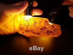 Amber Baltic Raw Stone 349 g Natural Genuine Rock H8
