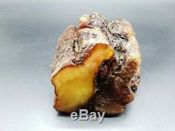Amber Baltic Raw Stone 623 g Natural Genuine Rock H11