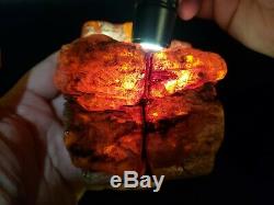 Amber Baltic Raw Stone 623 g Natural Genuine Rock H11