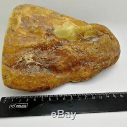 Amber Baltic Royal 1175 Gram Natural Stone Magnificent
