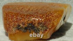 Amber Baltic Stone Antique Natural White Yellow Authentic Collectible Treasure