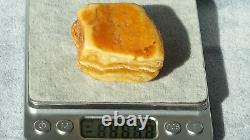 Amber Baltic Stone Rare Antique Natural White Color Authentic Collectibles