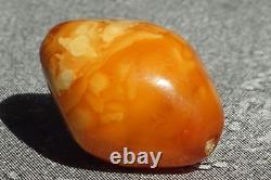 Amber Bead Single Natural Baltic Red White Rare Colours