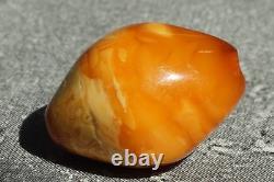 Amber Bead Single Natural Baltic Red White Rare Colours