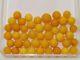 Amber Natural Baltic Egg Yolk Butterscotch Amber Beads