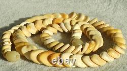 Amber Necklace Antique Natural Baltic Rare White Colour Collectible From Europe