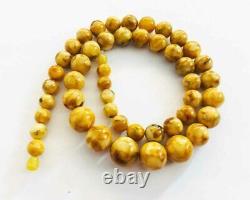 Amber Necklace Natural Baltic Amber Necklace Butterscotch amber pressed 55.91gr