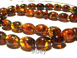 Amber Prayer Bead Muslim Prayer Beads-Natural Baltic Amber Tesbih pressed