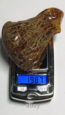 Amber Raw Natural Genuine Baltic Amber Stone GEMSTONE Raw Amber 19.87gr. N74