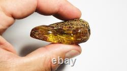 Amber Raw Natural Genuine Baltic Amber piece GEMSTONE Raw Amber stone