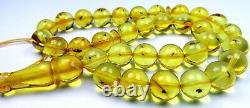 Amber Rosary INSECTS 100% Natural Baltic Amber Rosary Islamic Round 33 Prayer