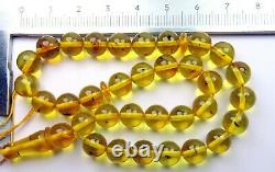 Amber Rosary INSECTS 100% Natural Baltic Amber Rosary Islamic Round 33 Prayer