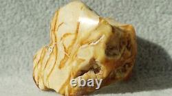 Amber Stone White Class Colour Antique Natural Baltic Collectible Europe Asset
