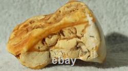 Amber Stone White Class Colour Antique Natural Baltic Collectible Europe Asset