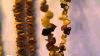 Amber Teething Necklaces Natural Baltic Amber For Teething