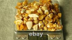 Amber White Natural Baltic Amber Beads 77 Grams Collectible Authentic Rare Amber