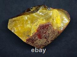 Amber White Raw Baltic Stones Natural Nuggets 232gr